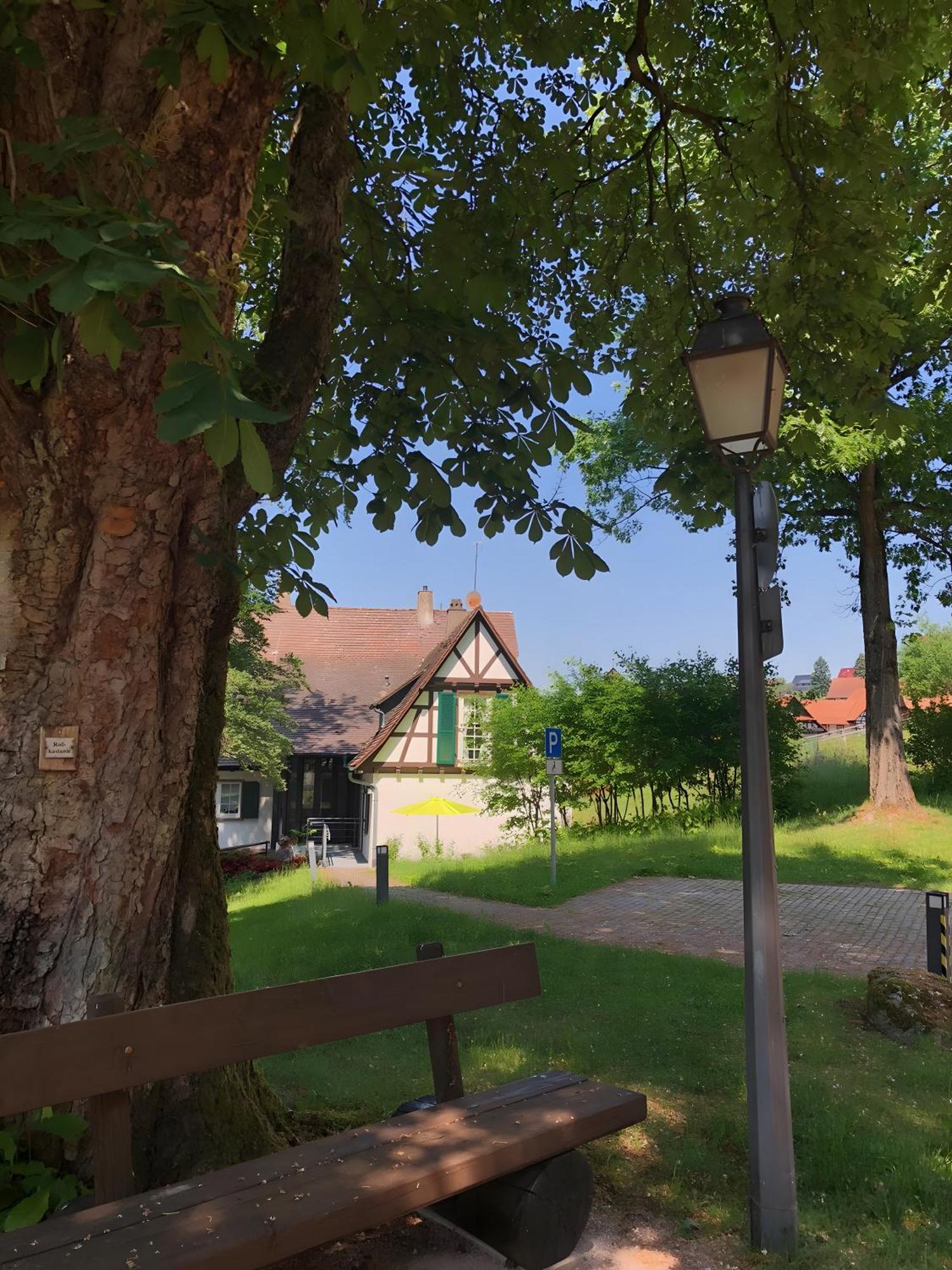 Ferienwohnung Am Keschtebaum, 70Qm Sasbachwalden Esterno foto