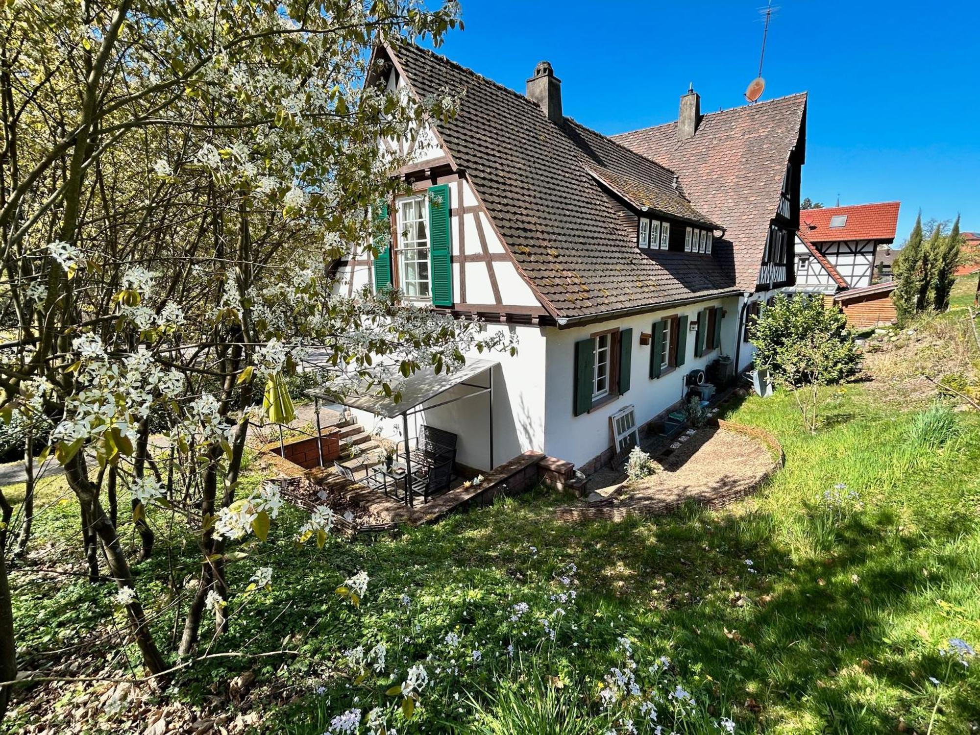 Ferienwohnung Am Keschtebaum, 70Qm Sasbachwalden Esterno foto